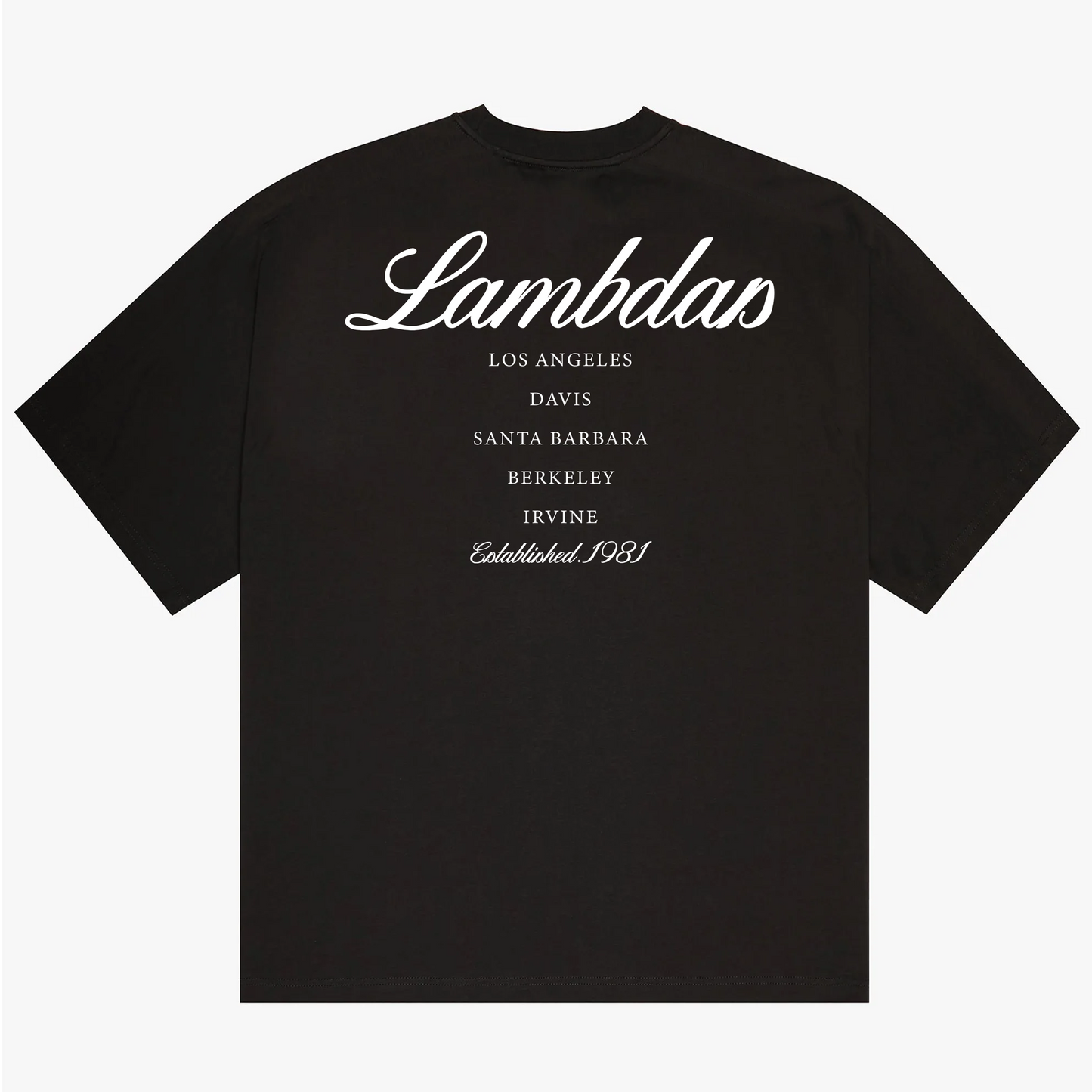 Lambdas First Five - California - Heavy Faded T-Shirt
