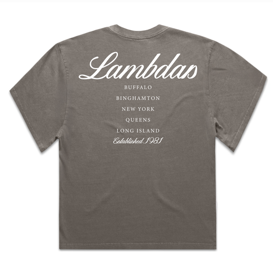 Lambdas First Five - New York - Heavy Faded T-Shirt